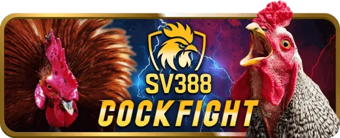 Chương trình VIP sun20 link vào